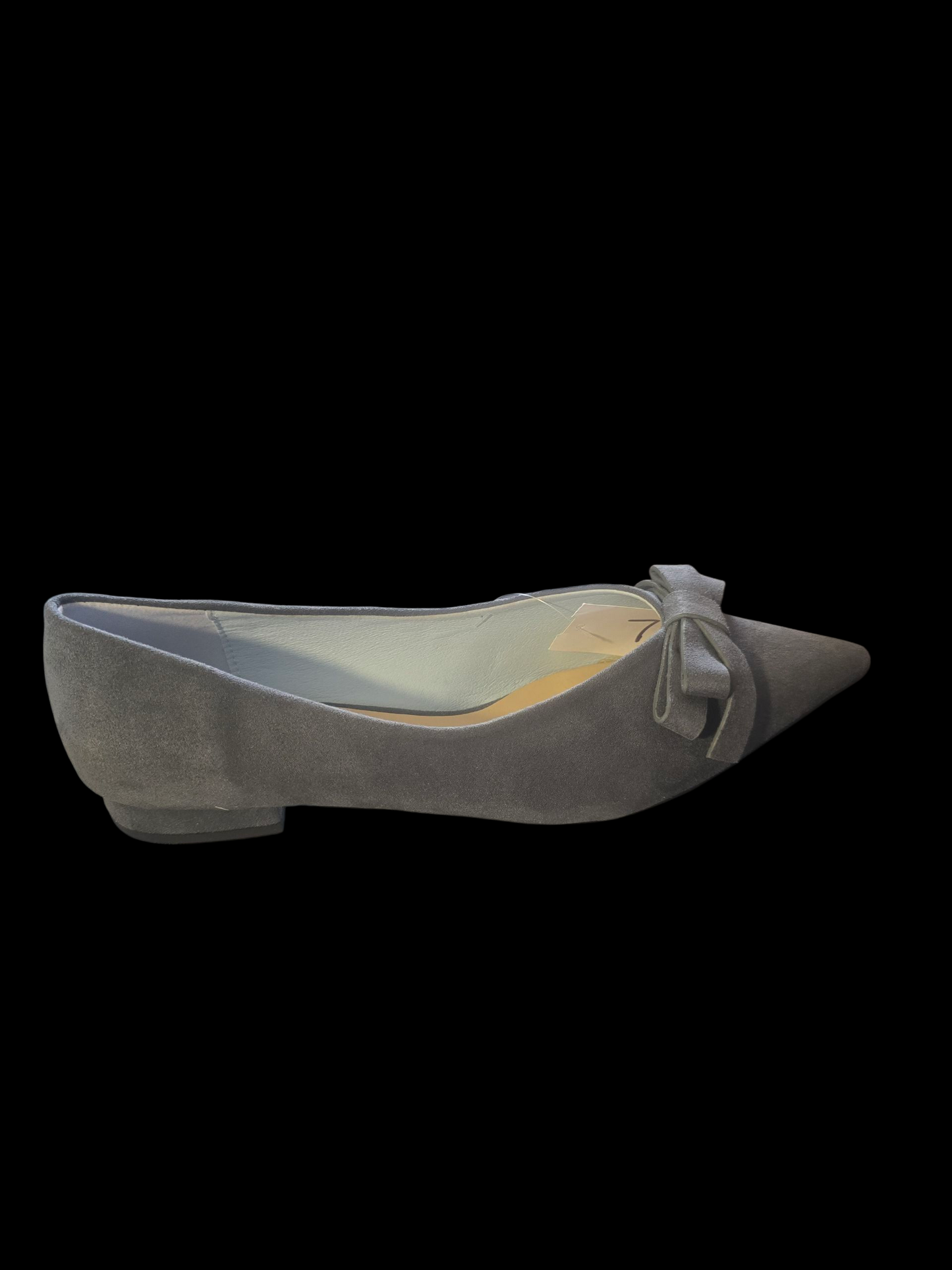 Paravano-Bowknot Suede Flats (Aida)